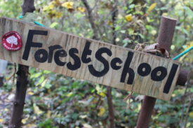 Wilderness Adventures forest school